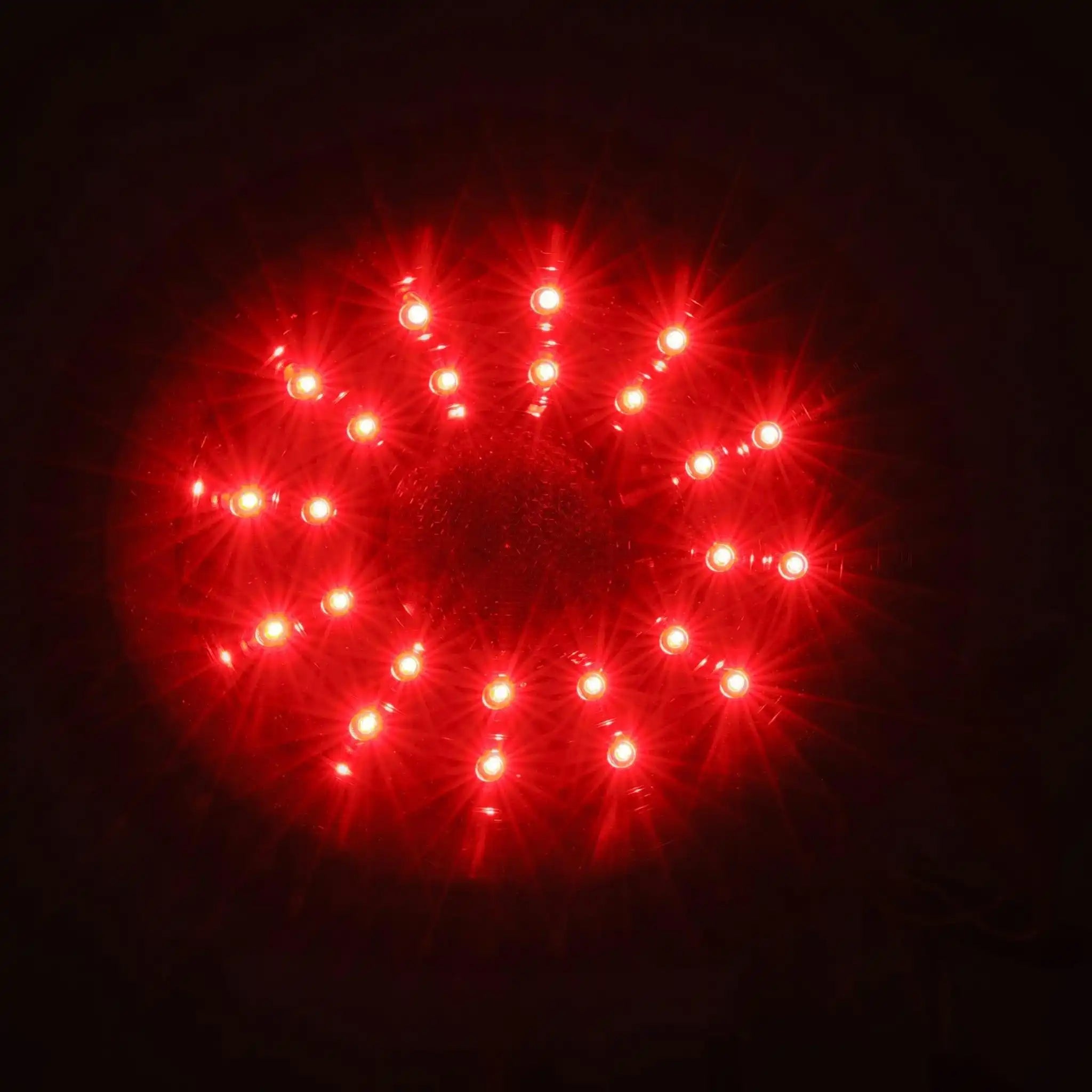610020_5.jpg