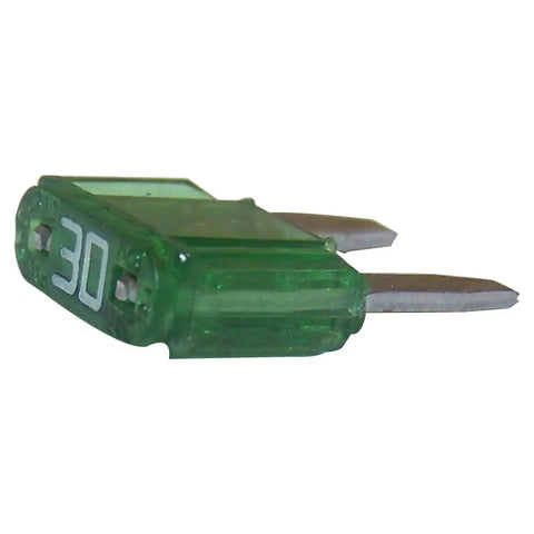 6101489.jpg