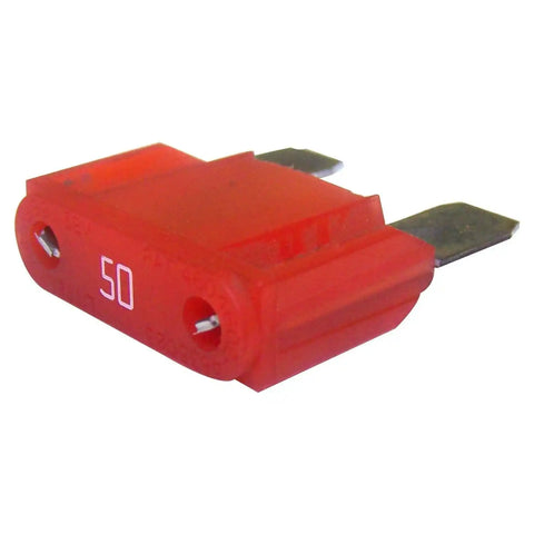 6101642.jpg