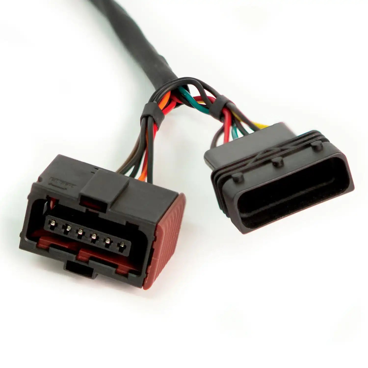 64330_Harness_Close_Up_web.jpg