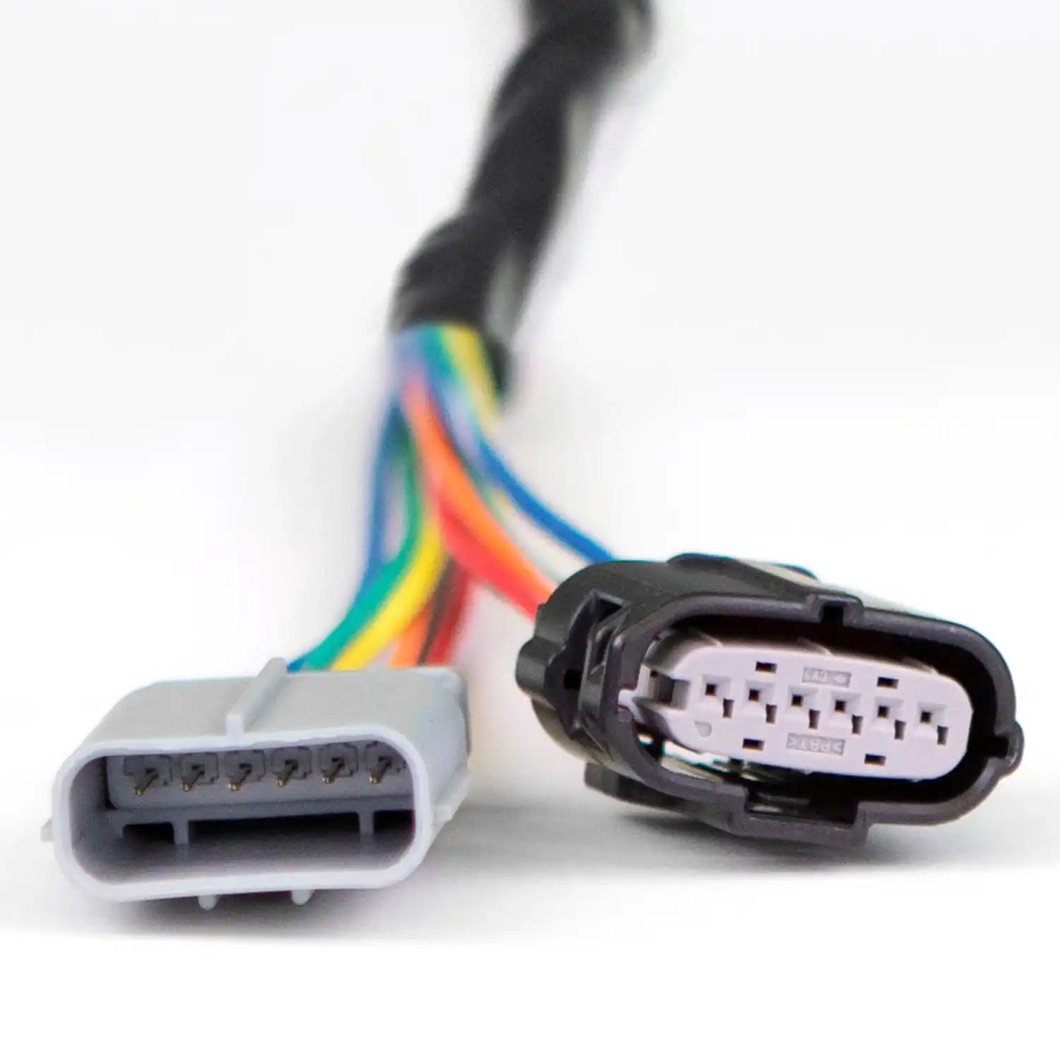 64341_Harness_Close_Up_web.jpg