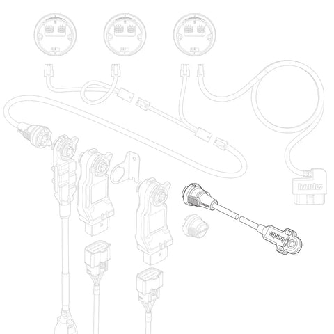 66420_illo.jpg