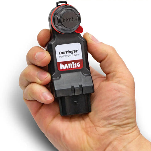 66797_Derringer_hand_cap.jpg