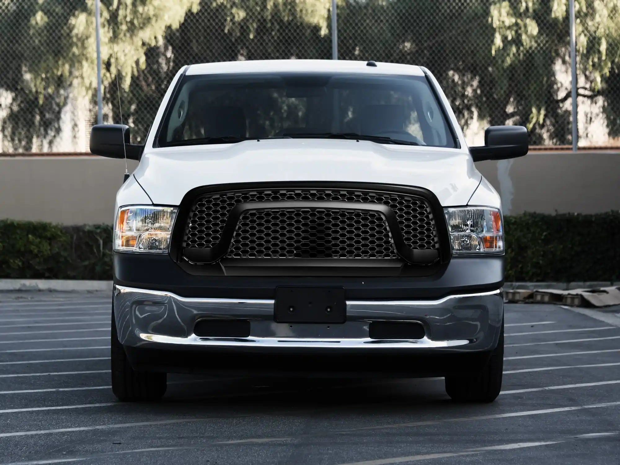 7161436-6.jpg