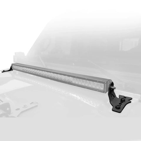 731300T_00.jpg