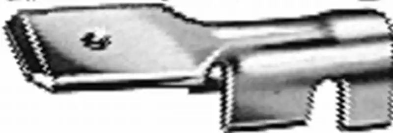 744823003.MAIN.jpg