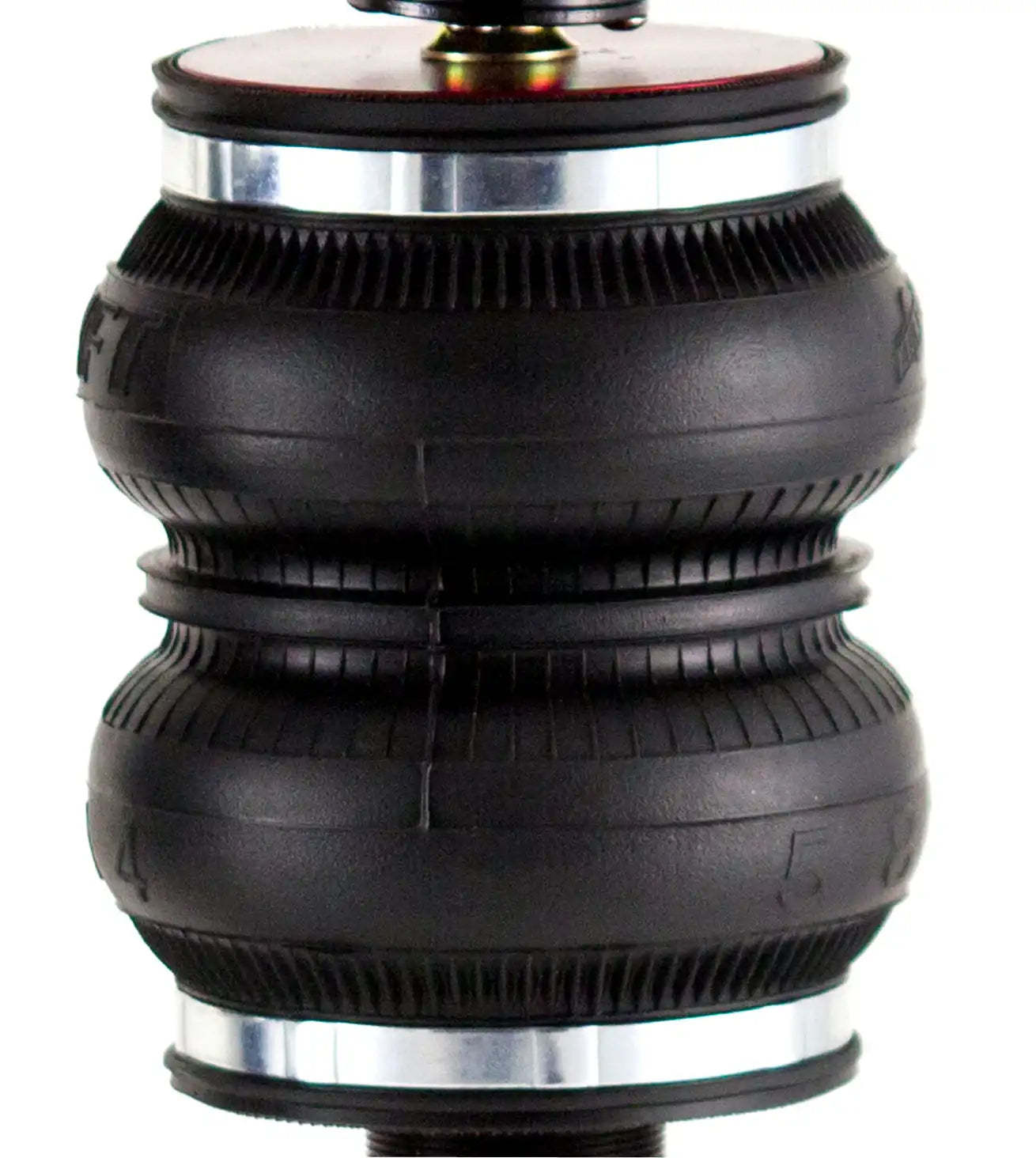75553_v3_20120101.jpg