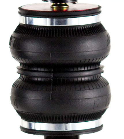 75554_v3_20120101.jpg
