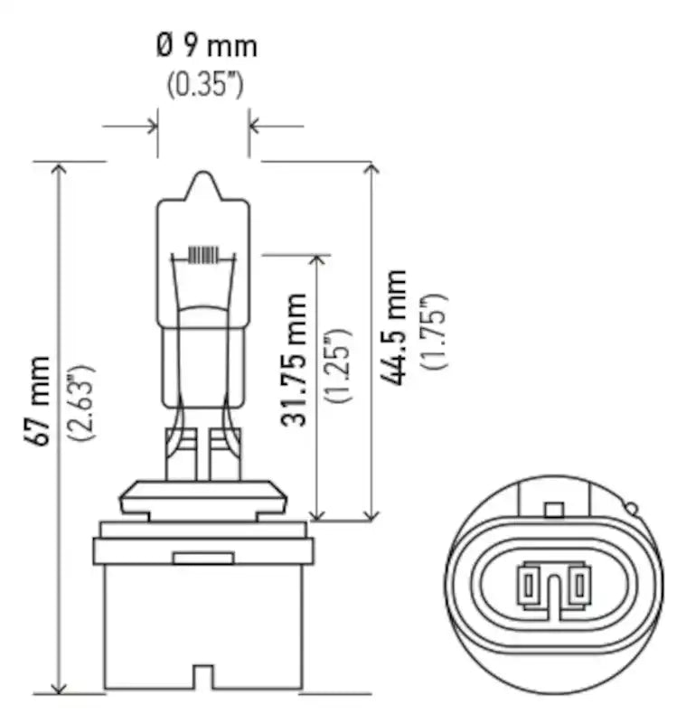 890.PT01.jpg