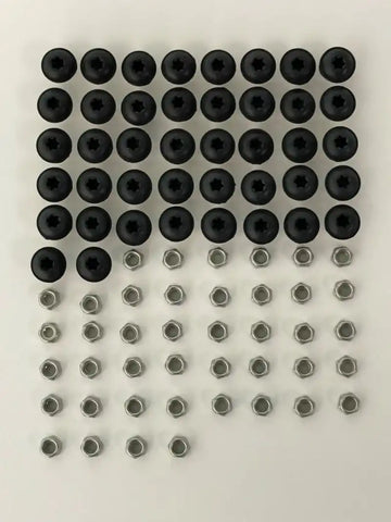 EGR Black Stainless Steel Powdercoated Bolt Kit