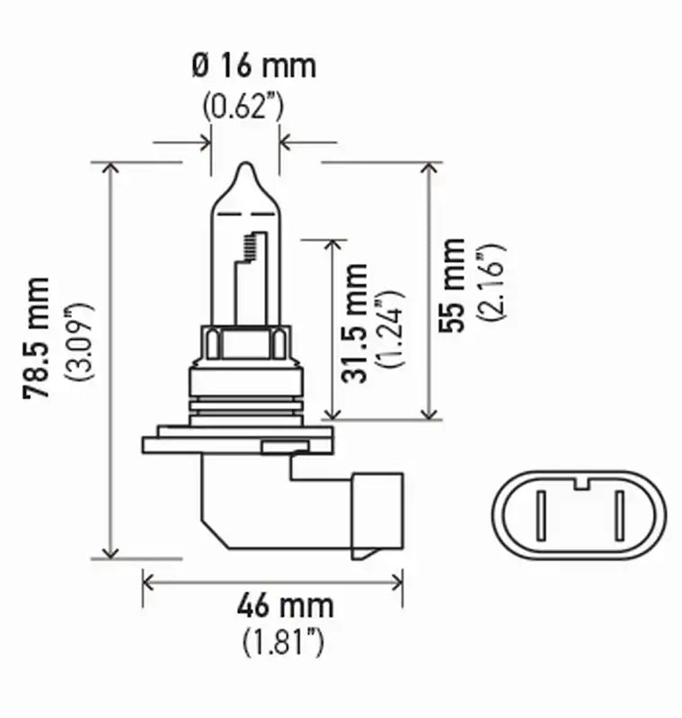 9005 100WSB.PT01.jpg