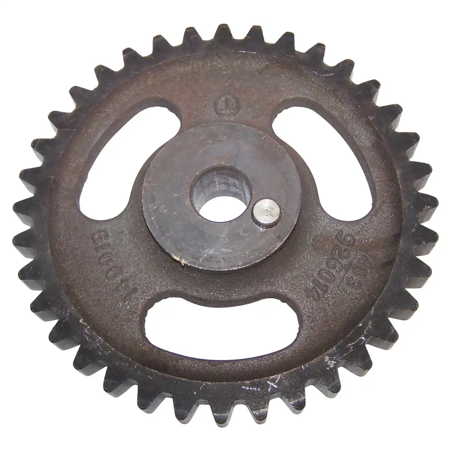 926157.jpg