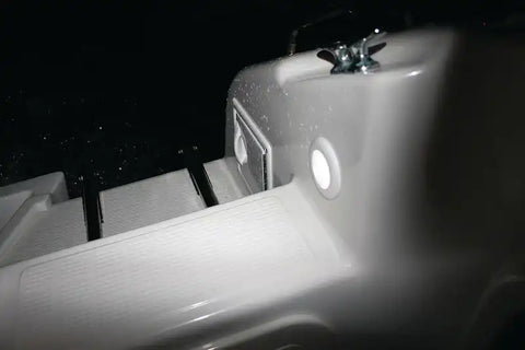 980500021.PT39.jpg