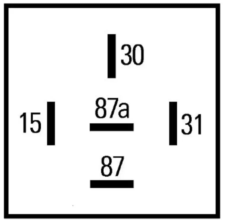 996152141.PT01.jpg