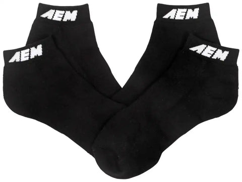 AEM-01-1600-L.jpg