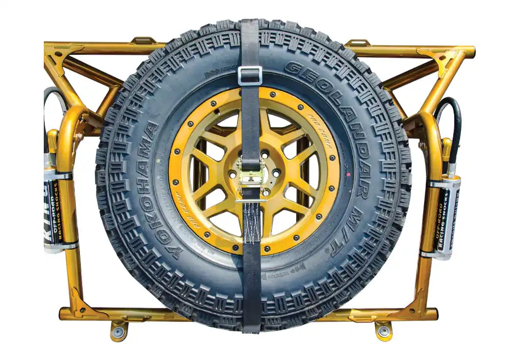 Bed_Cage_Tire_Carrier.jpg