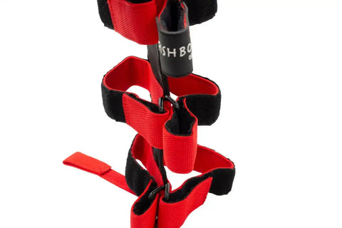 Fishbone Offroad FB55155 - Fire Extinguisher Holder for Padded Roll Bar Red