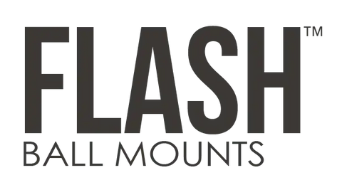 Flash-Logo.png