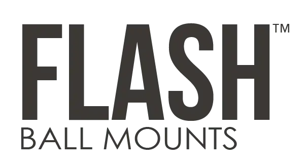 Flash-Logo.png