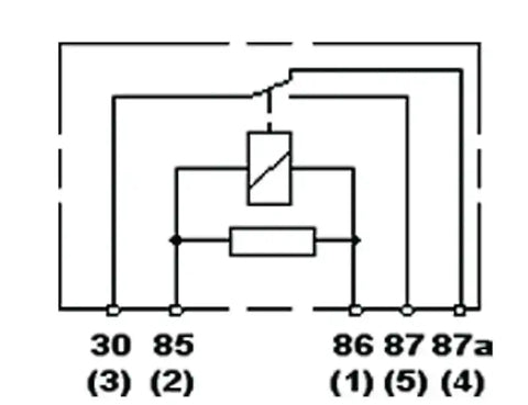 H41388491.PT50.jpg