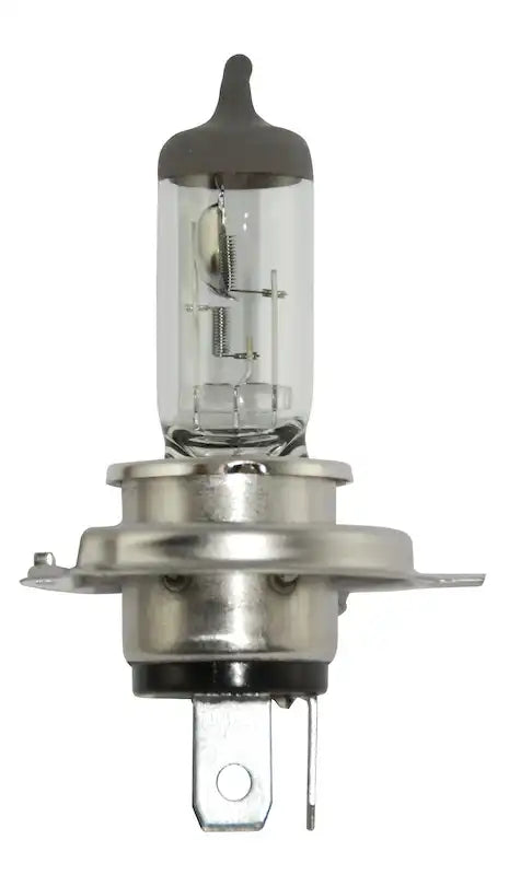 H4 100_55W.MAIN.jpg