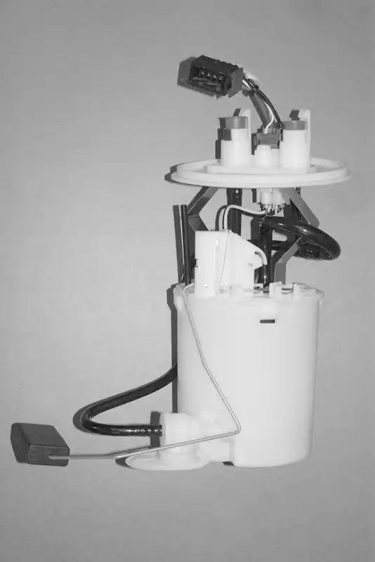 H75031291.MAIN.jpg
