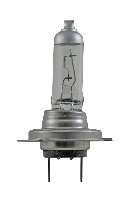 H7P50.MAIN.jpg