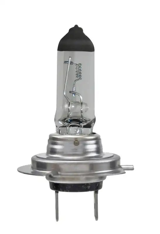 H7 24V LL.MAIN.jpg