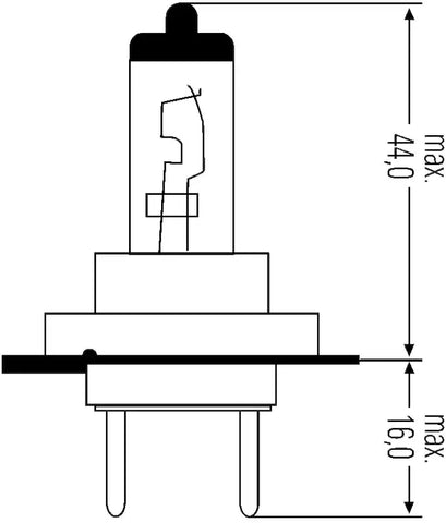 H83145131.PT01.jpg