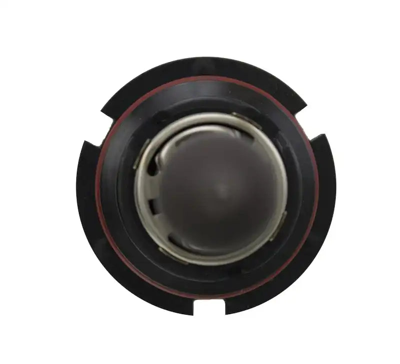 H83175001.TOPP.jpg