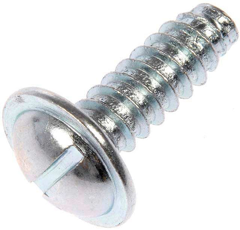 Dorman 02405 License Plate Mounting Hardware Round Head Washer Head Screw 1/4 Inch x 3/4 Inch