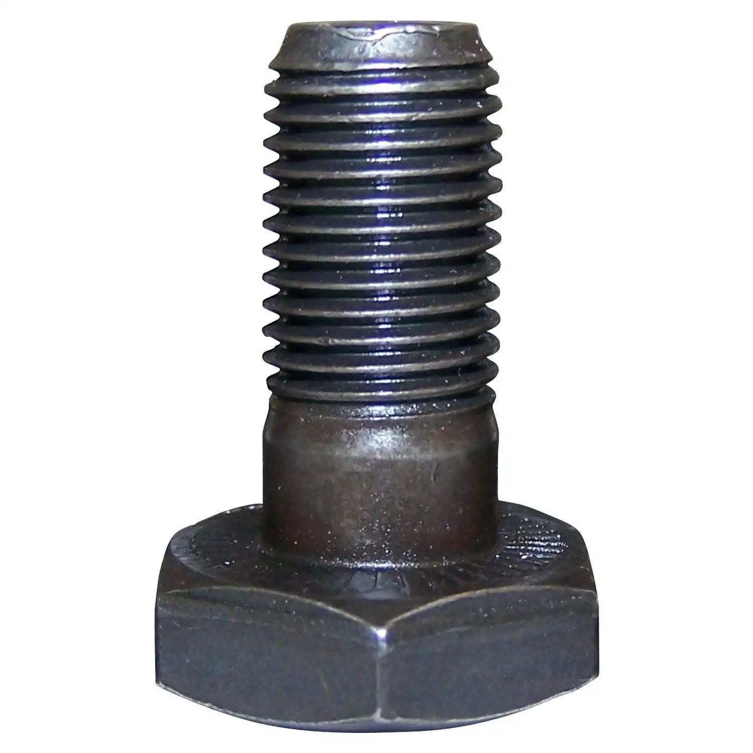 J0649454.jpg