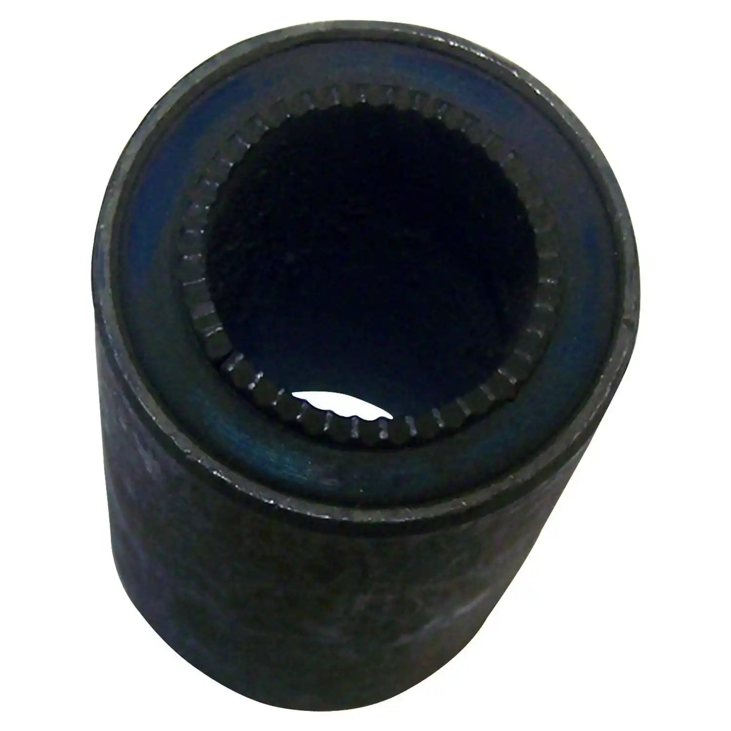 J0930525.jpg