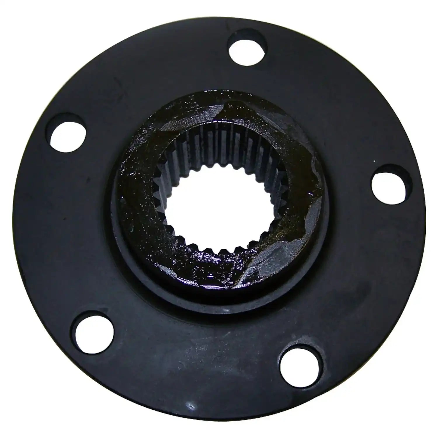 J5362000.jpg