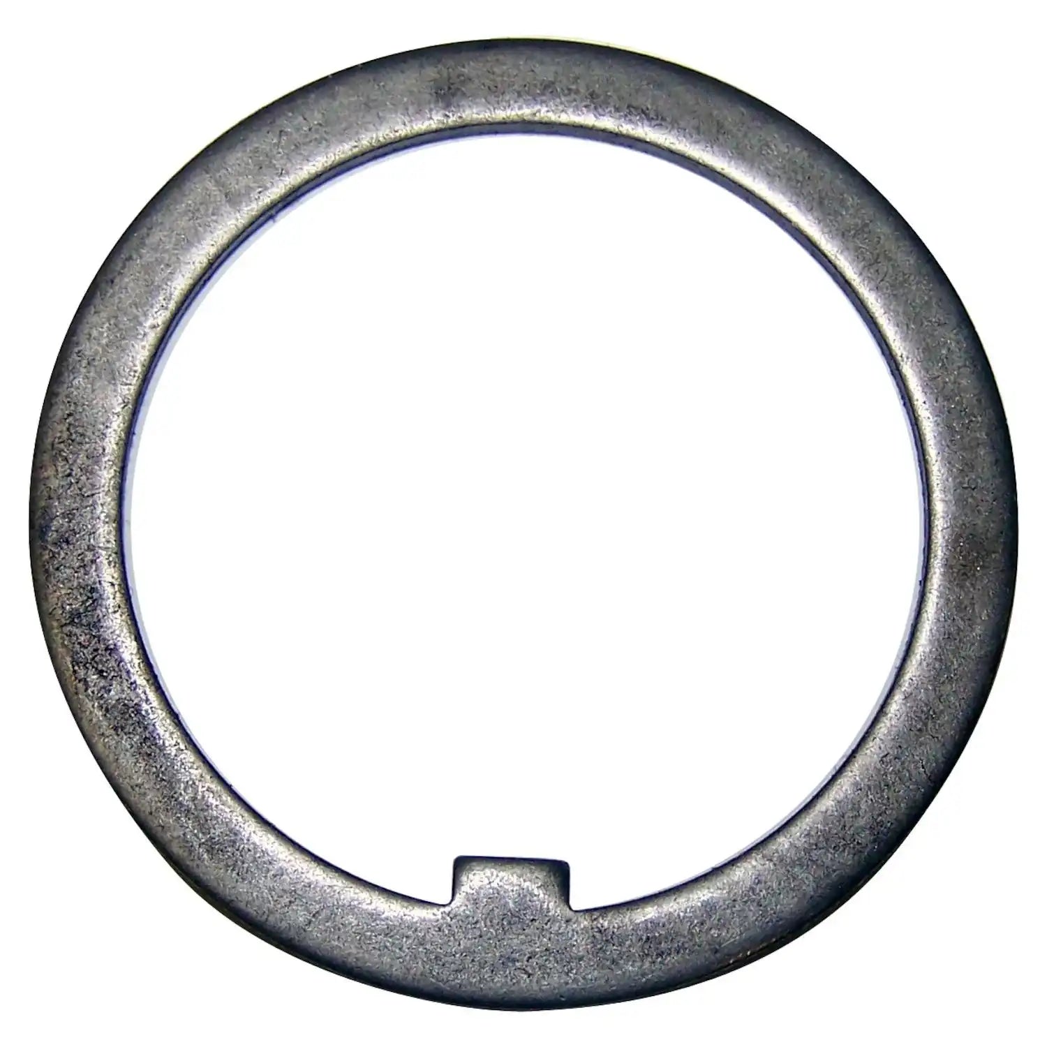 J8124936.jpg