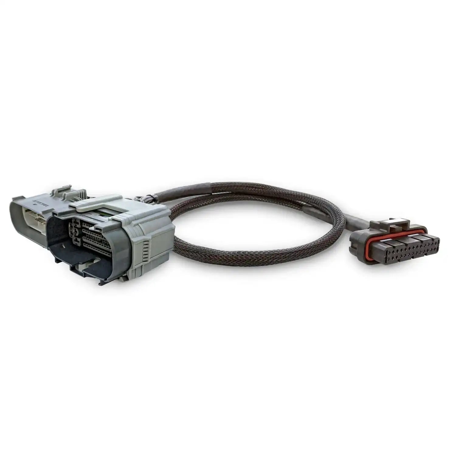 PulsarLT_Harness_01_pdp.jpg