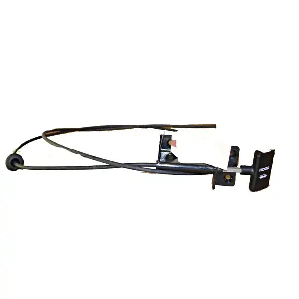 S-55075570.jpg