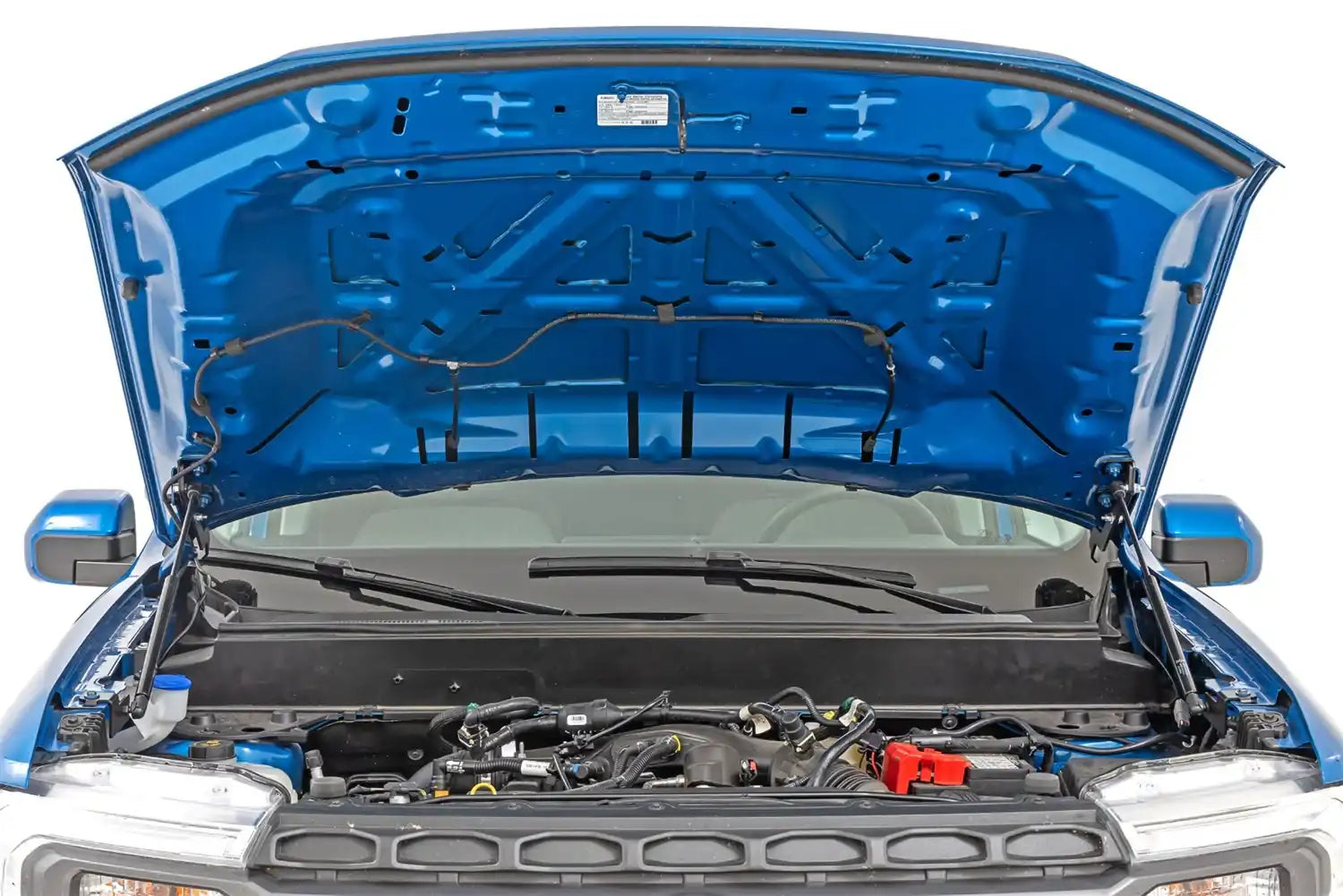 ag4a1290.jpg