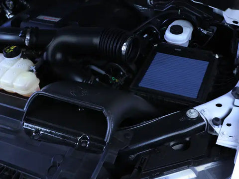 aFe 55-10003R MagnumFORCE Intake Super Stock Pro 5R Media Ford F-150 15-20 V6/V8 / Raptor 17-20 V6
