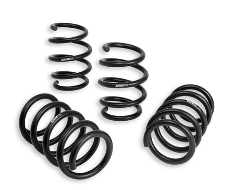eibach_E102010020122.jpg