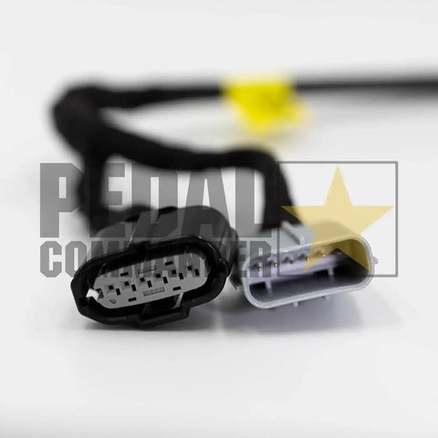 pc55-plug.jpg